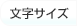 文字の大きさ